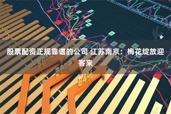 股票配资正规靠谱的公司 江苏南京：梅花绽放迎客来