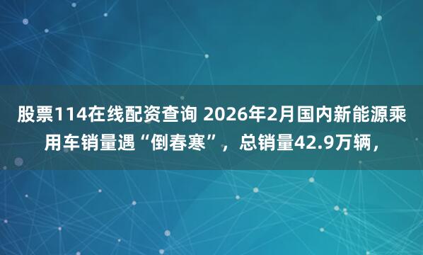 股票114在线配资查询 2026年2月国内新能源乘用车销量遇“倒春寒”，总销量42.9万辆，