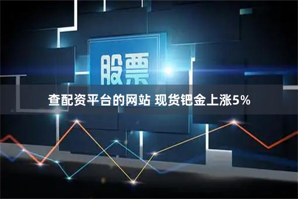 查配资平台的网站 现货钯金上涨5%